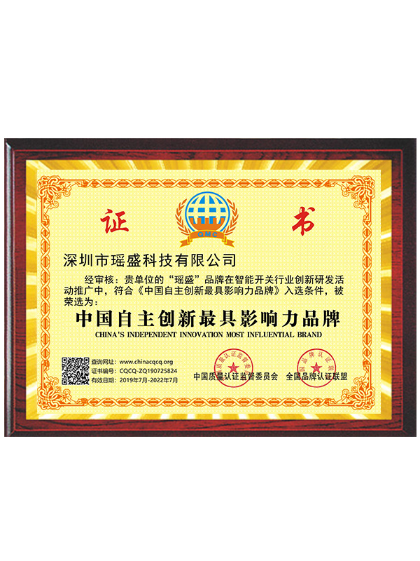 中国自主创新最具影响力品牌